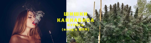 индика Зеленодольск