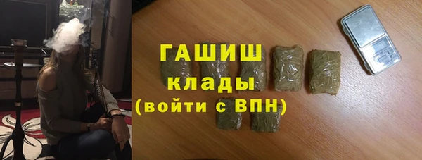 индика Зеленодольск
