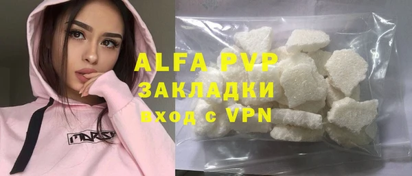 индика Зеленодольск