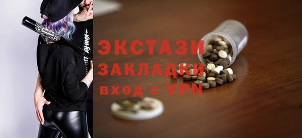 индика Зеленодольск