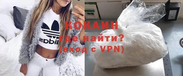 индика Зеленодольск
