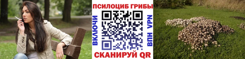 Псилоцибиновые грибы мицелий Пойковский